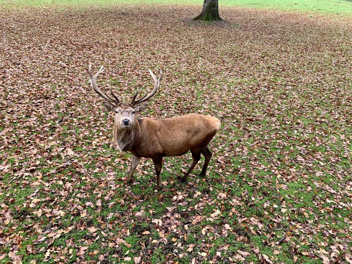 Blair Atholl River Tilt Park Wee But N Ben Hotel Ngoại thất bức ảnh